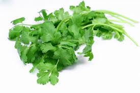 CORIANDER SEED OIL(INDIAN) - Rakesh Sandal Industries